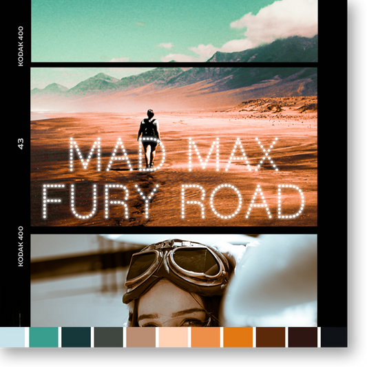 MAD MAX FURY ROAD's look