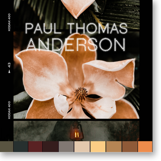 PAUL THOMAS ANDERSON's looks
