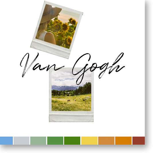 VAN GOGH's palette